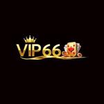 VIP66