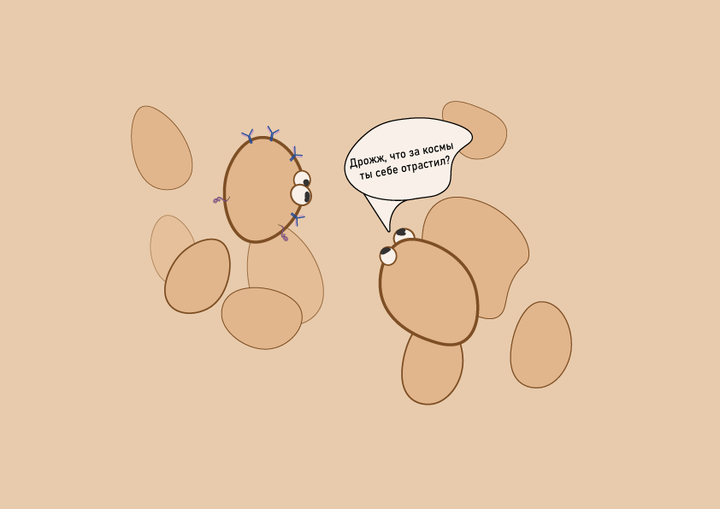 Настоящий сад на дрожжах!