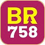 BR758 PLATAFORMA