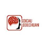 Soicaulodechuan net