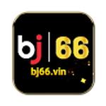 BJ66 vin