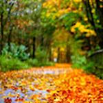 Streetgirls69 Call Girl