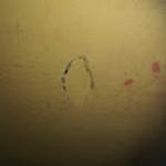 Олег Шарапов