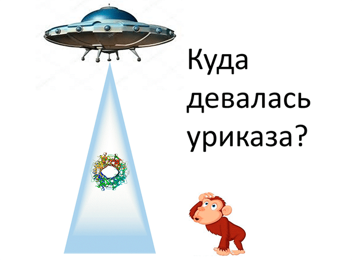 Куда девалась уриказа?