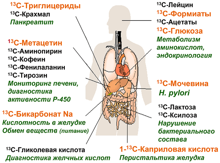 Диагностика — простая, как дыхание (стабильные изотопы на службе здоровья)