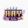 Haywin1 social