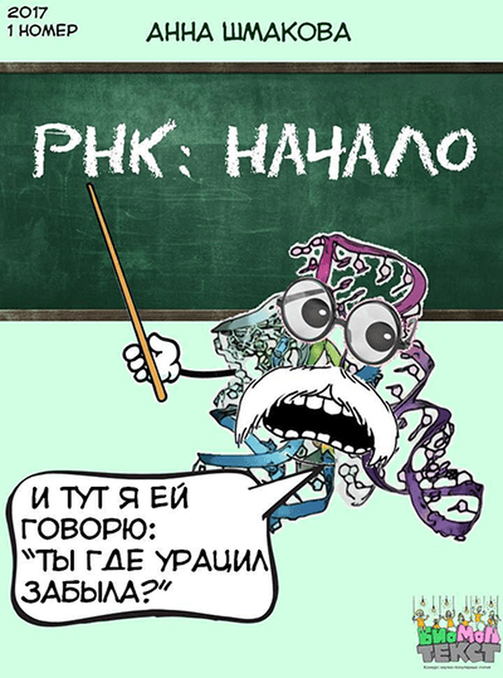 РНК: начало (мир РНК)