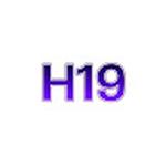 H19