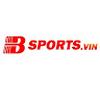BSPORTS VIN