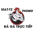 XEM ĐÁ GÀ TRỰC TIẾP