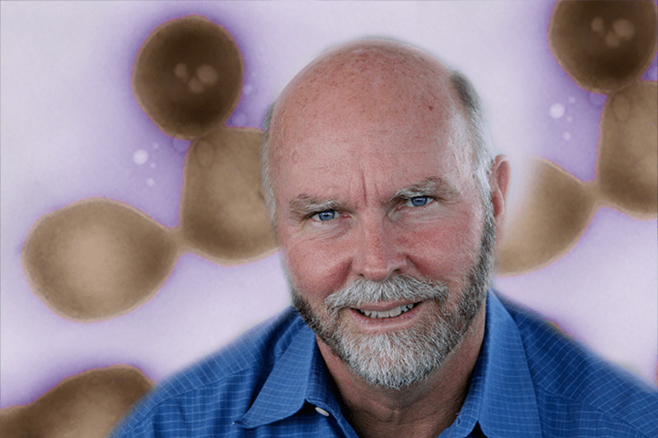 Жизнь в эпоху синтетической жизни