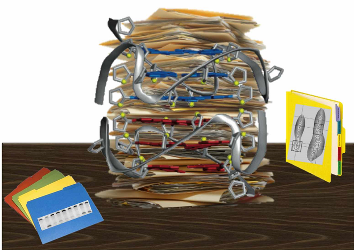 Реалии ДНК-«аномалии»