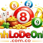 danhlode onlinecomco