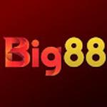 BIG88
