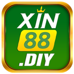 Xin88 diy