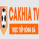 antiracistusa.org giả mạo