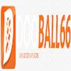 dooball66