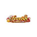 HAY88