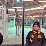 Алик Аракелян