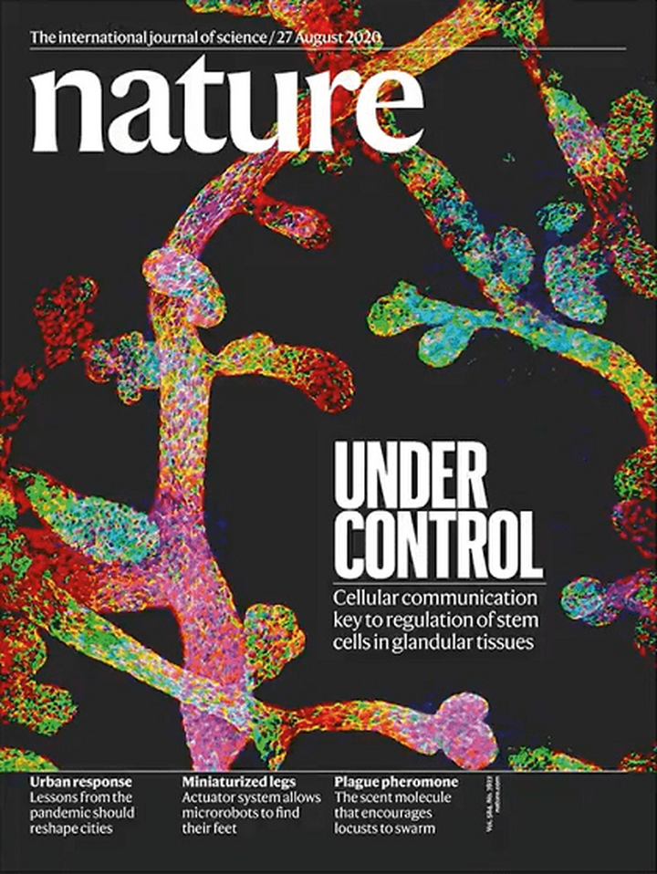 SciNat за август 2020 #4: неуязвимые пациенты, кератиновые первопроходцы и клетки-путешественники
