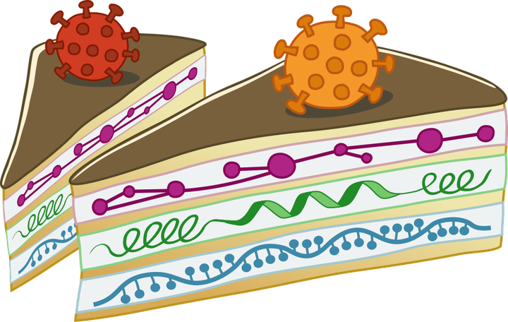 Под шипами: омиксные технологии помогают понять молекулярные механизмы патогенности SARS-CoV-2 и SARS-CoV