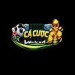 trang cá độ bóng đá