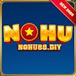 nohu88 diy