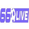 66live TV