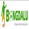 bongdalu7 com