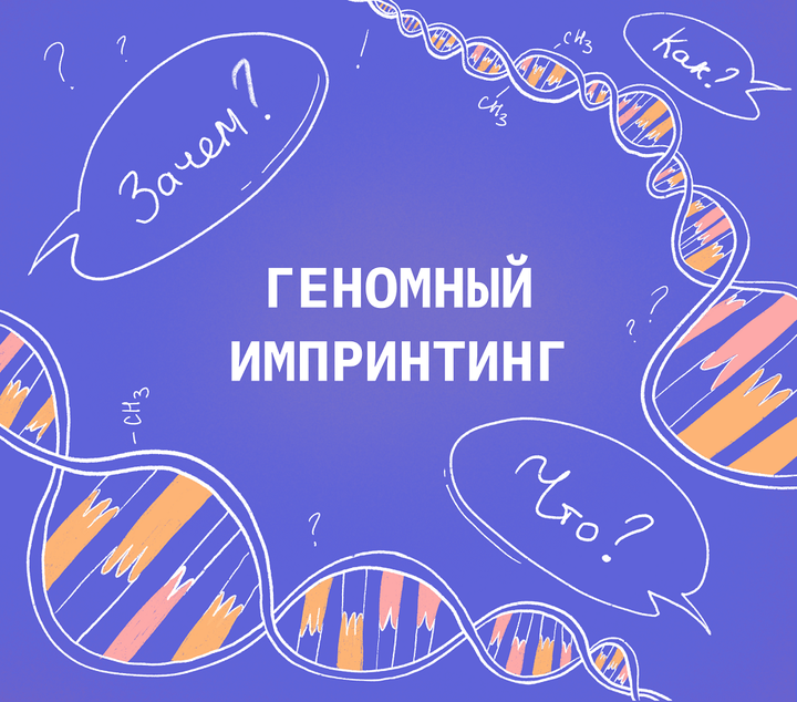 Геномный импринтинг: как и зачем?