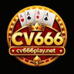 cv666 Osman