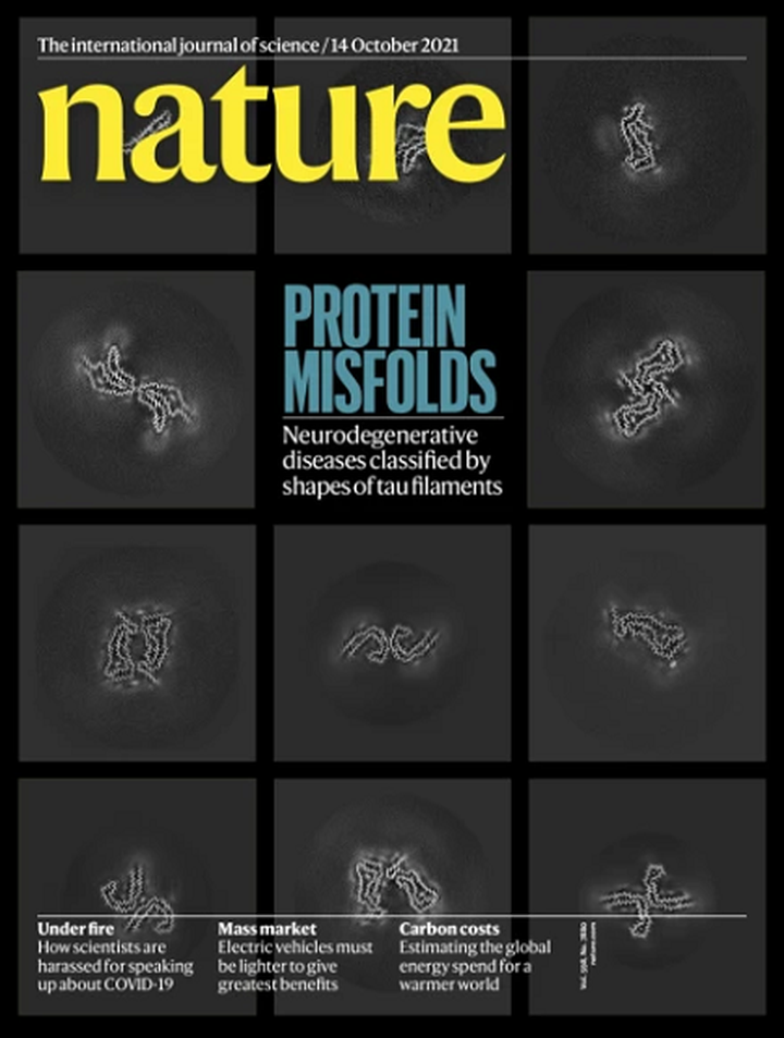 SciNat за октябрь 2021 #3: самовосстановление мышц, эмпатия и митохондрии для убийства