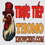 ĐÁ GÀ TRỰC TIẾP