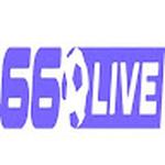 66live TV