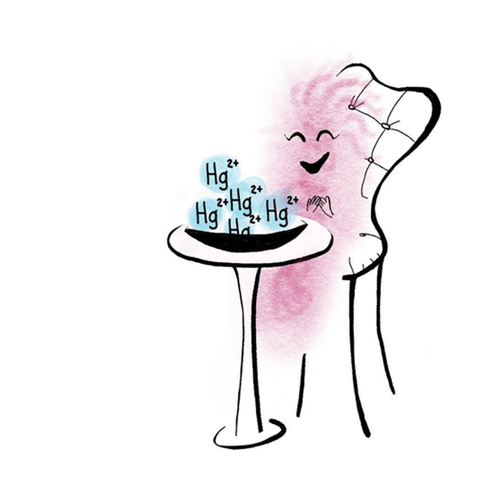 Бактерии и ртуть
