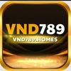 VND789