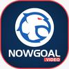 Nowgoal video