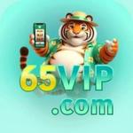 65vip netbr