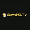 gavangtv llc