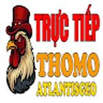 ĐÁ GÀ TRỰC TIẾP THOMO HÔM NAY