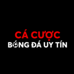 ca cuoc bong da