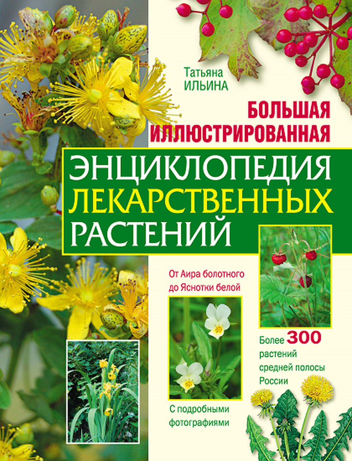 Татьяна Ильина: «Большая иллюстрированная энциклопедия лекарственных растений». Рецензия