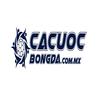 CÁ CƯỢC BÓNG ĐÁ