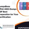 SPLK-3003 Dumps PDF