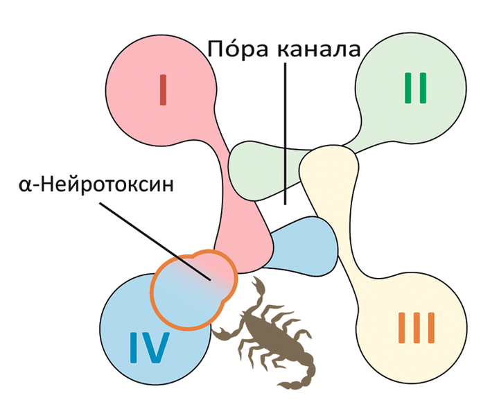 Патология в рисунках финлейсон