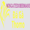 Đá Gà Trực Tiếp Thomo