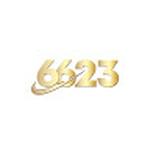 6623 Vnnet