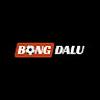 Bongda lu