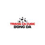 Trangcadobongda24h com