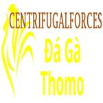 Đá Gà Trực Tiếp Thomo